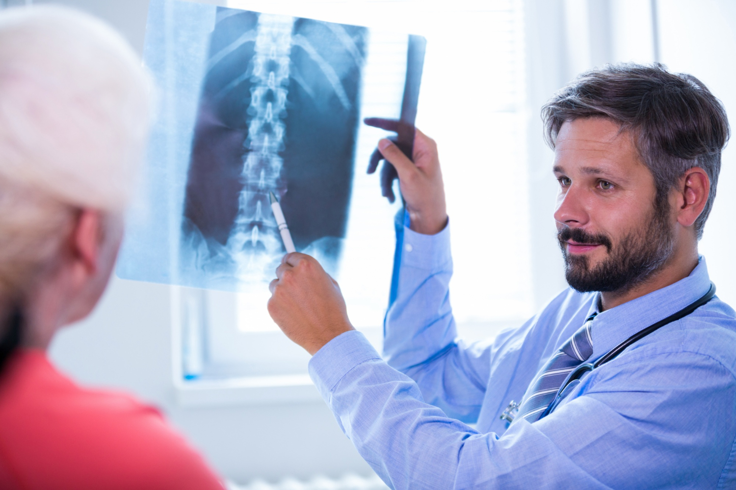 spinal cord